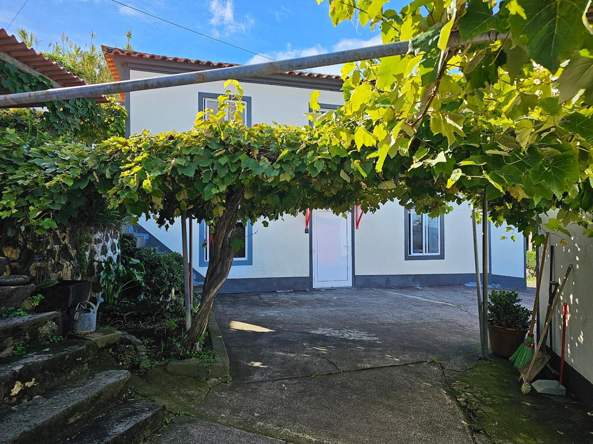 Casa Anjos Holiday Cottages Cedros Kültér fotó