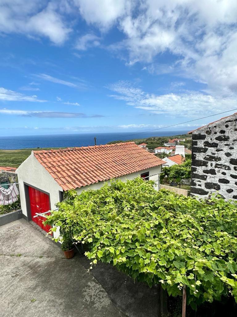 Casa Anjos Holiday Cottages Cedros Kültér fotó