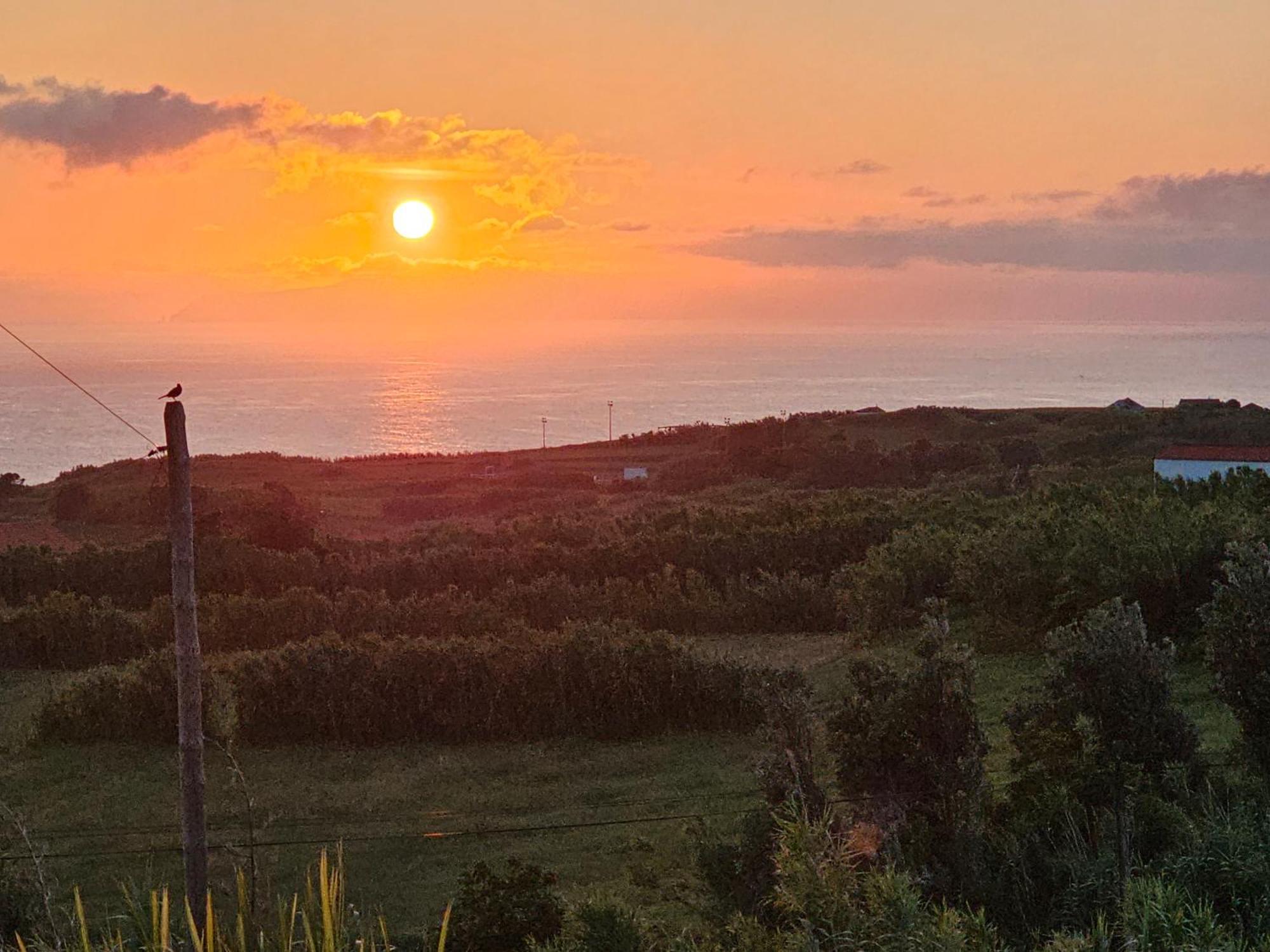 Casa Anjos Holiday Cottages Cedros Kültér fotó