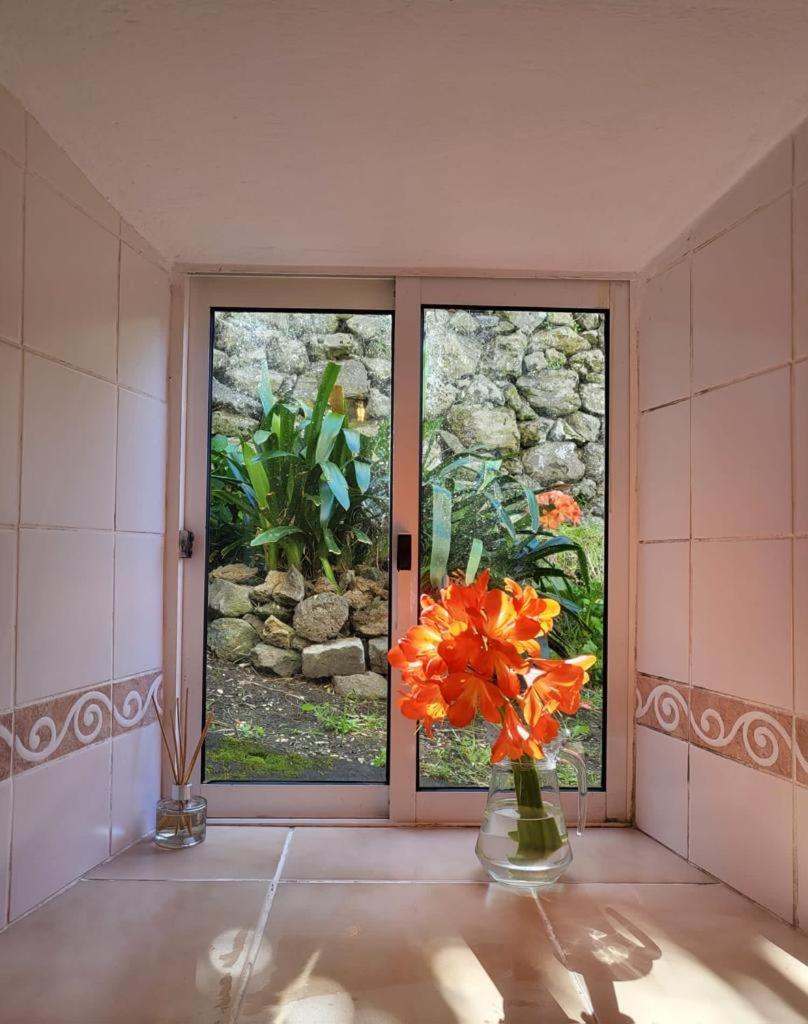 Casa Anjos Holiday Cottages Cedros Kültér fotó