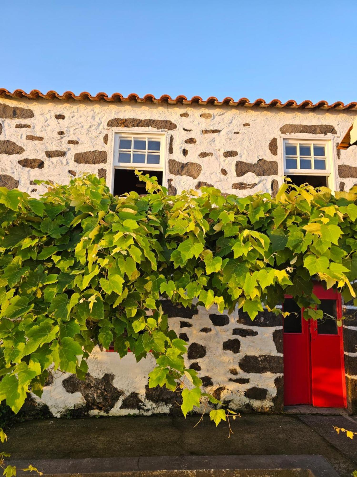 Casa Anjos Holiday Cottages Cedros Kültér fotó