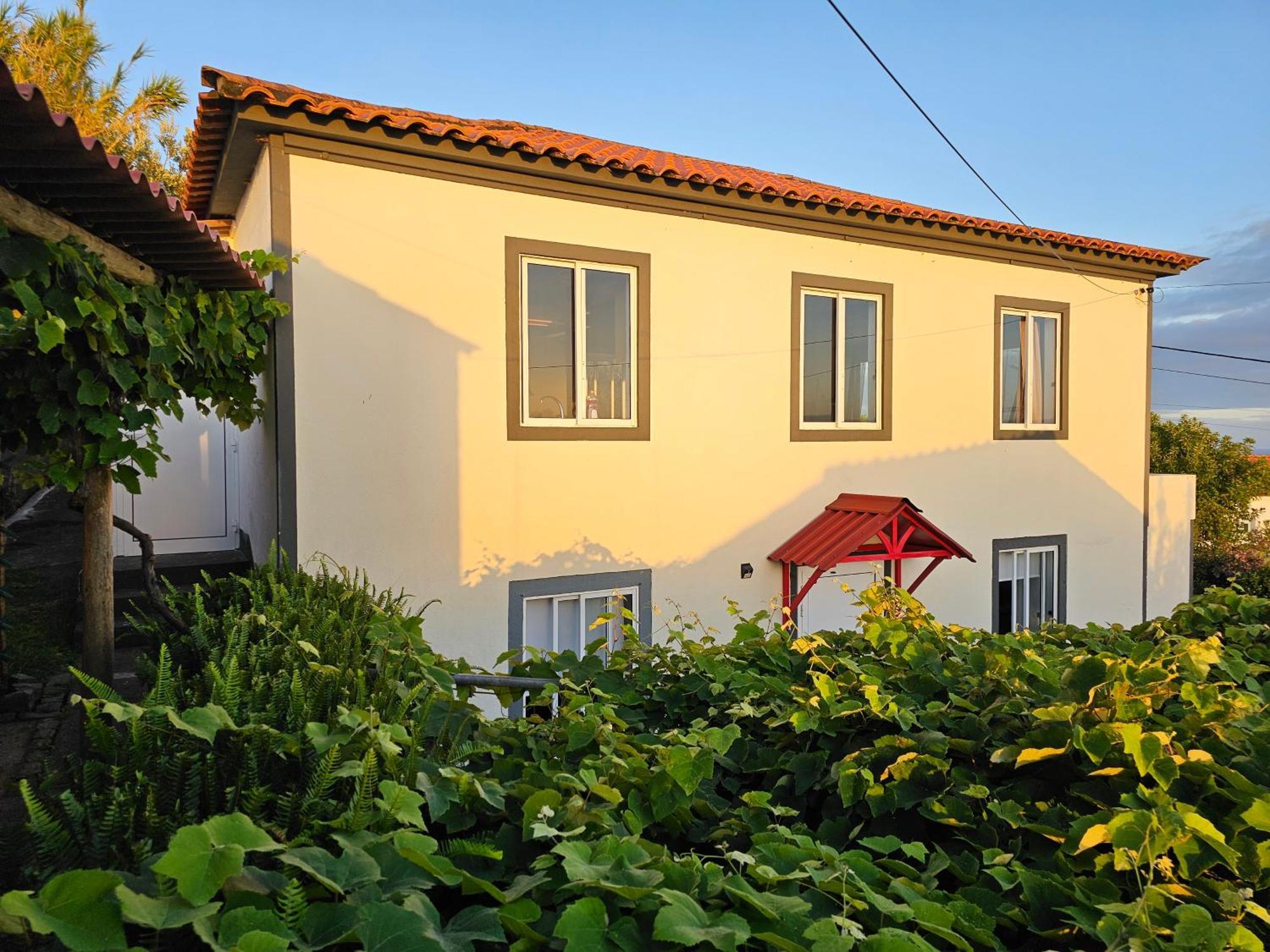 Casa Anjos Holiday Cottages Cedros Kültér fotó
